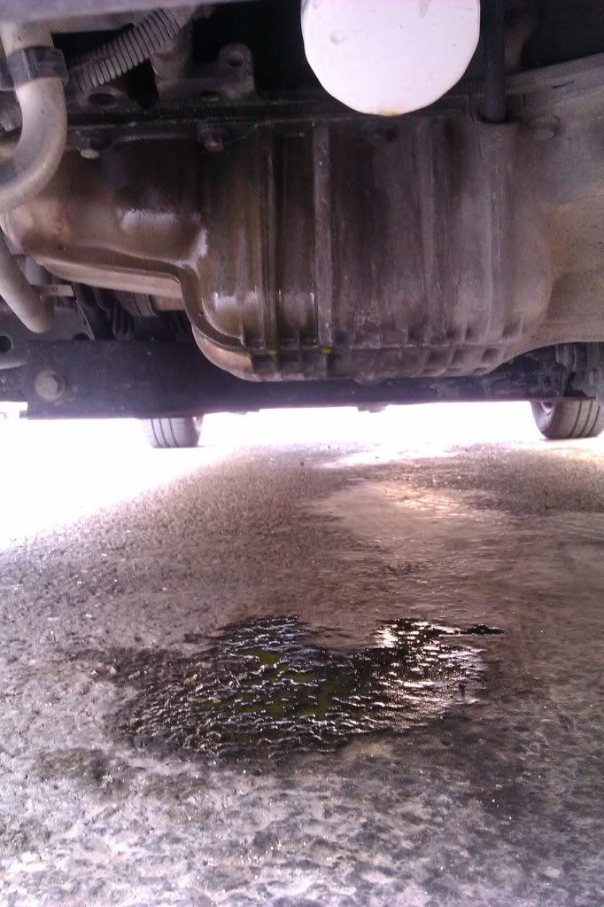 Coolant still leaking after replacing entire thermostat housing (pics